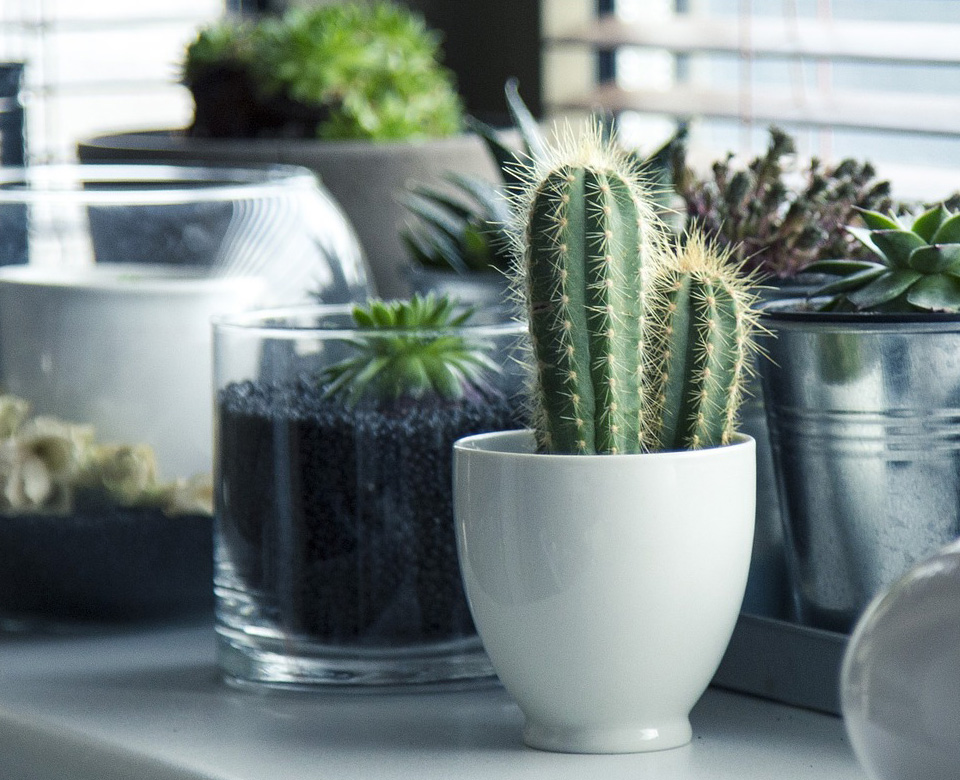 mb޹˾2017꣬һҾ߂bY|(zh)Լb㹤bľCb˾עڞӢAṩЙC(j)wסլbQγɪصĺwסլbO(sh)ӋʩĴԠIľa(chn)Ʒ...